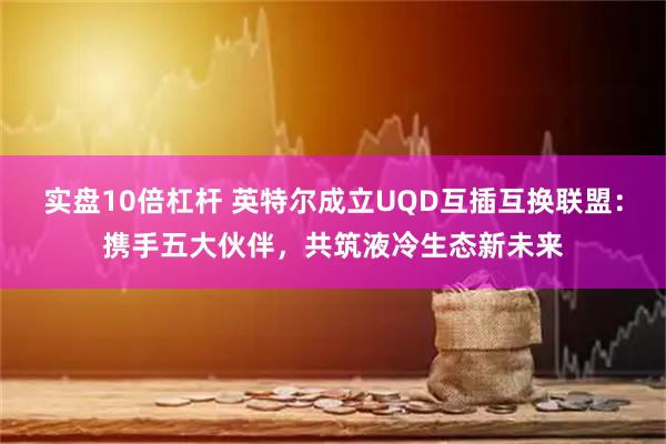 实盘10倍杠杆 英特尔成立UQD互插互换联盟：携手五大伙伴，共筑液冷生态新未来