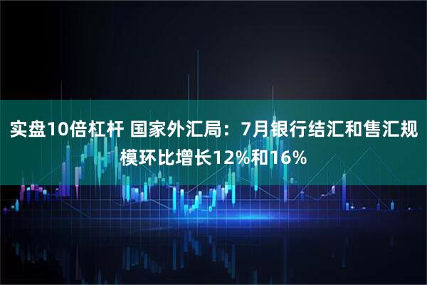实盘10倍杠杆 国家外汇局：7月银行结汇和售汇规模环比增长12%和16%