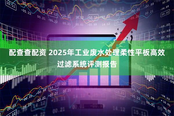 配查查配资 2025年工业废水处理柔性平板高效过滤系统评测报告